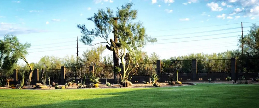 Reliable landscape installation for beautiful yards in Chandler, AZ by Evergreen Turf
