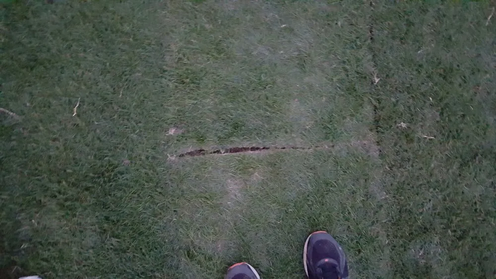 Custom landscape installation experts serving Chandler, AZ - Evergreen Turf