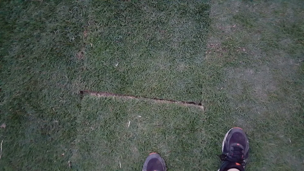 Affordable landscape installation in Chandler, AZ - Evergreen Turf