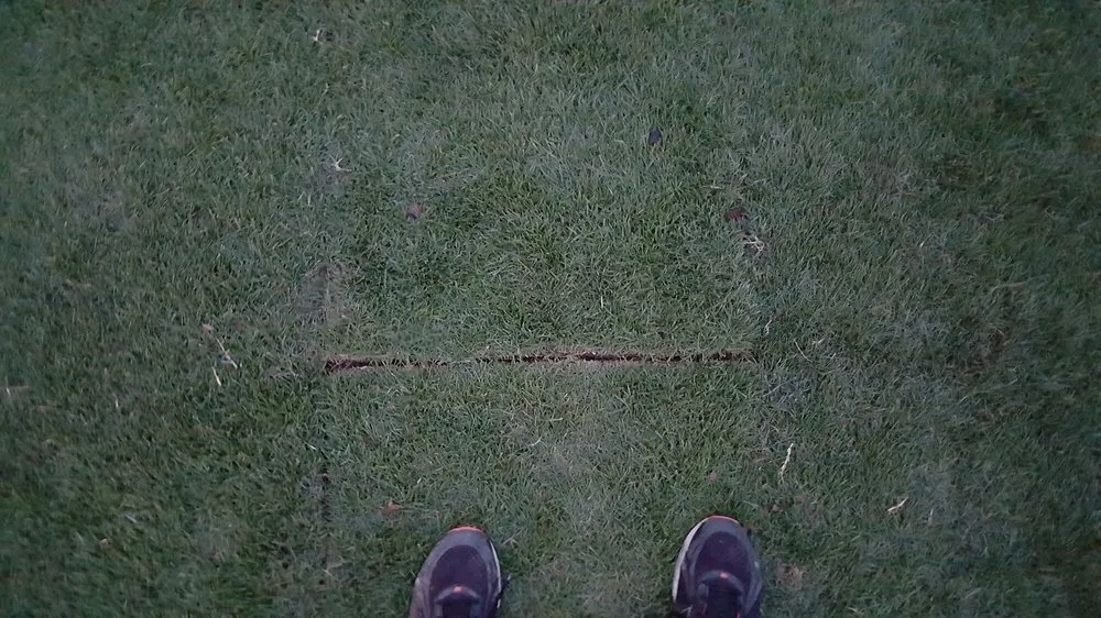 Expert garden landscaping in Chandler, AZ by Evergreen Turf