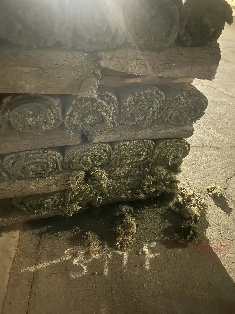 Local landscaping services in Chandler, AZ - Evergreen Turf