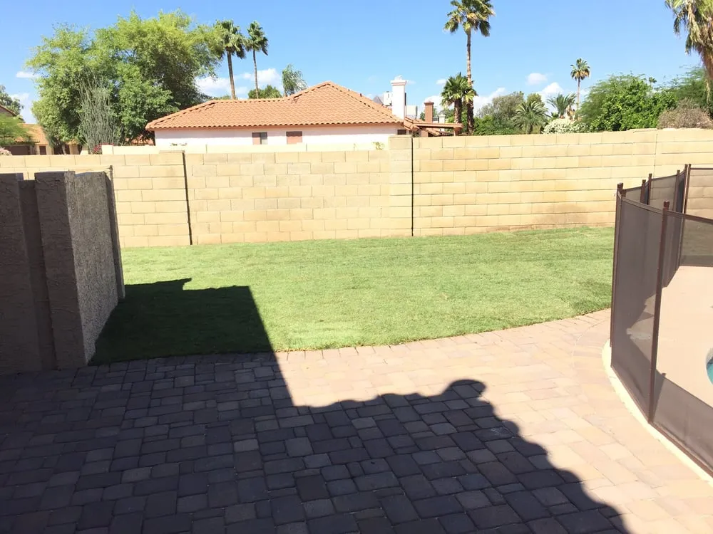 Expert landscape installation in Chandler, AZ by Evergreen Turf