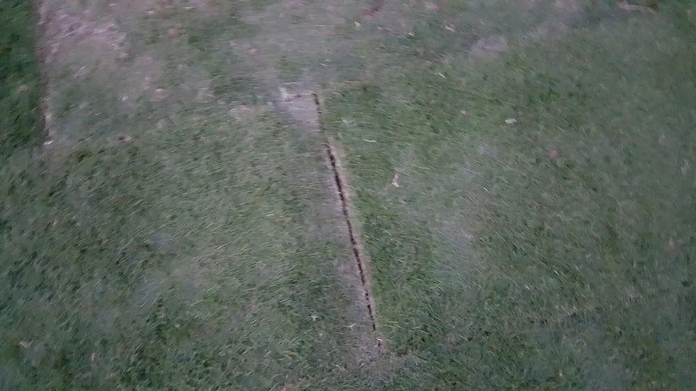 Affordable garden landscaping for outdoor upgrades across Chandler, AZ - Evergreen Turf