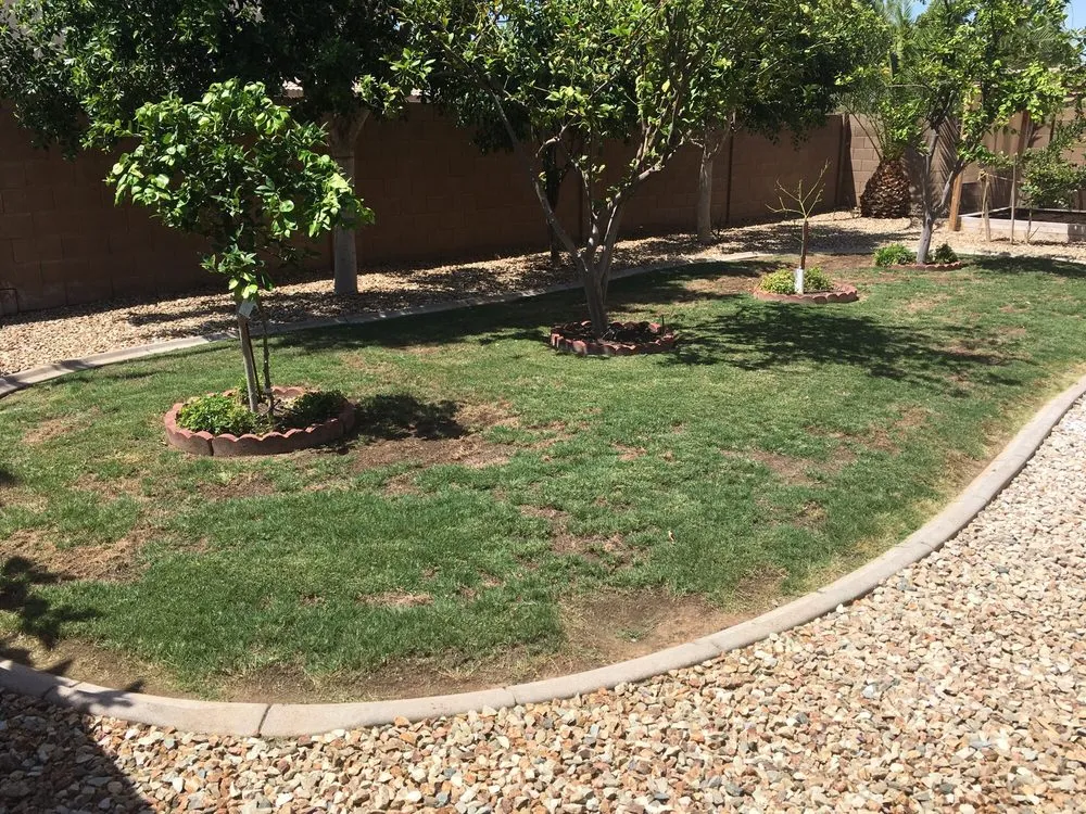 Reliable residential landscaping for homes in Chandler, AZ by Evergreen Turf
