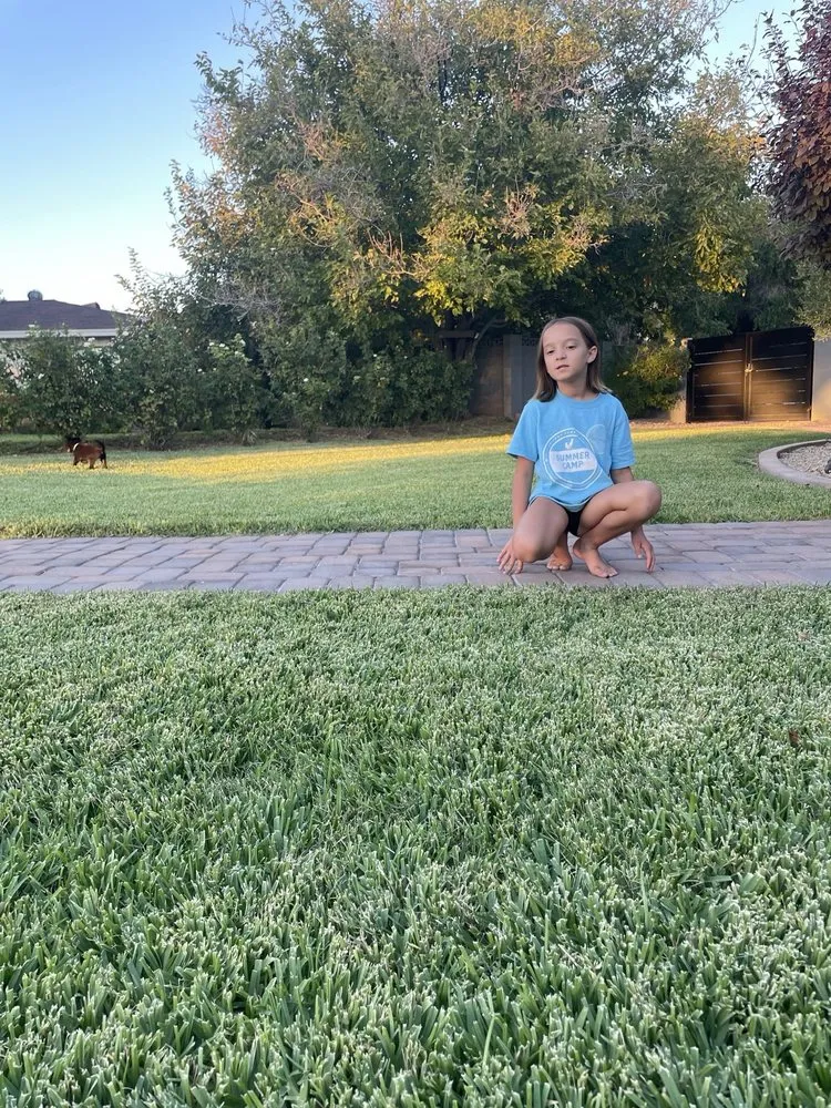 Affordable yard cleanup service for outdoor upgrades across Chandler, AZ - Evergreen Turf