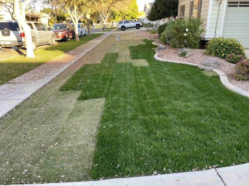 Trusted lawn care service for homes across Chandler, AZ - Evergreen Turf