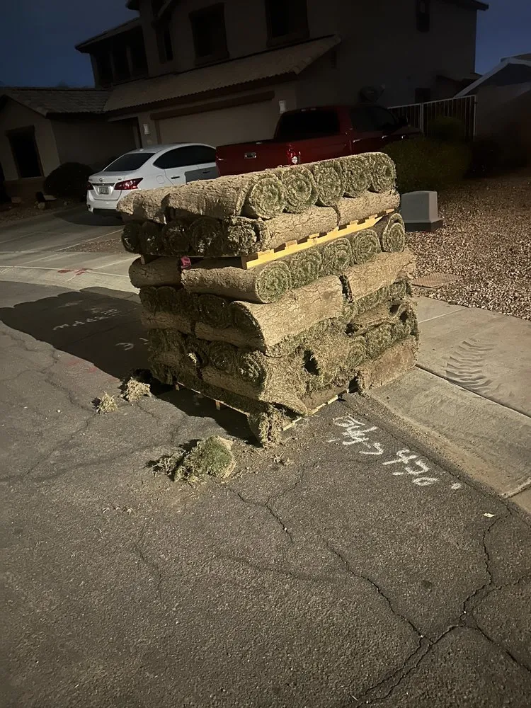 Professional outdoor landscaping in Chandler, AZ by Evergreen Turf