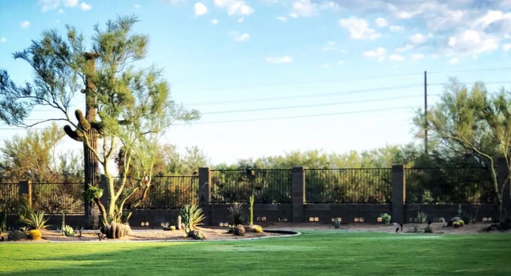 Custom yard cleanup service for homes in Chandler, AZ by Evergreen Turf