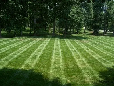 Reliable yard maintenance in Social Circle, GA - Evergreen Turf Mgt, Inc.