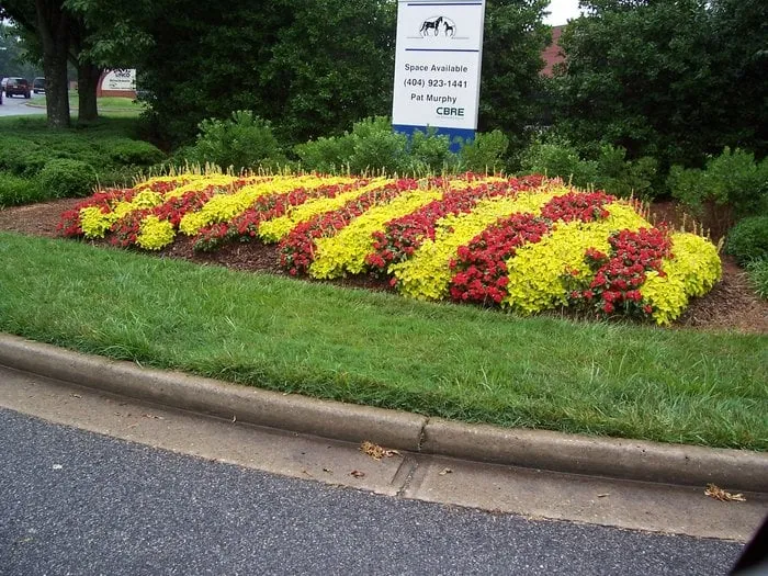 Reliable lawn mowing service experts serving Social Circle, GA - Evergreen Turf Mgt, Inc.