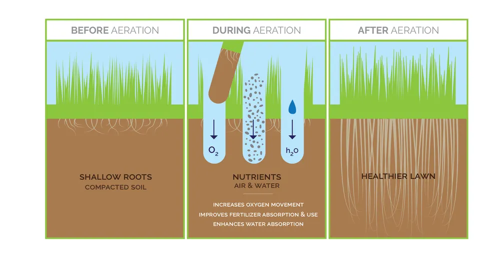 Top-rated yard maintenance for year-round maintenance across City, OH - EverGreen Turf Solutions