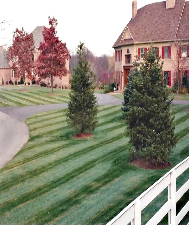 Professional lawn mowing service in Canton, OH by Evergreen Turf Specialist