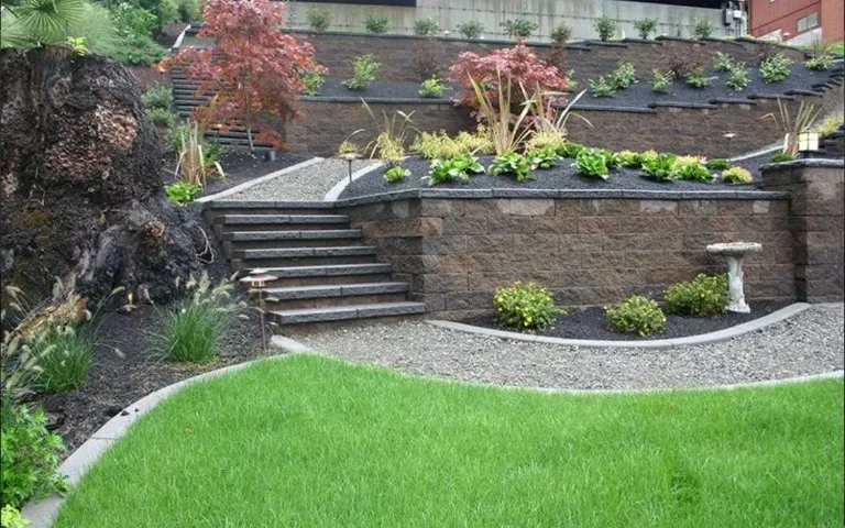 Professional yard cleanup service in Olympia, WA - Evergreen Valley Landscape