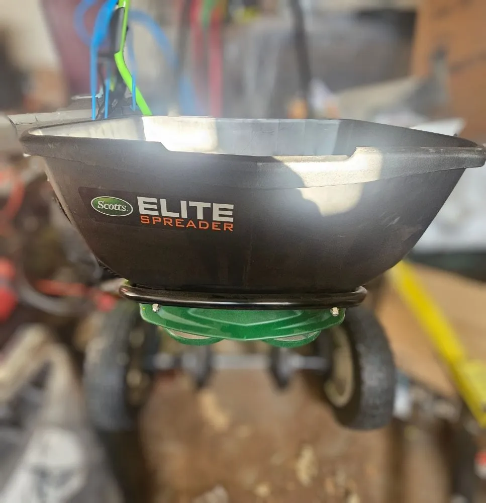 Affordable landscaping services for year-round maintenance across Hobbs, NM - Evergreen, Weed And Pest Control