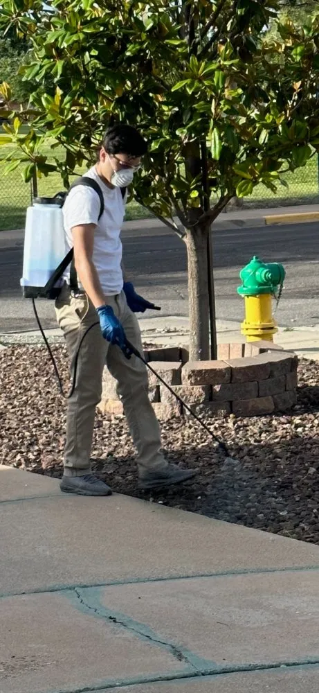 Affordable lawn care service for beautiful yards in Hobbs, NM by Evergreen, Weed And Pest Control