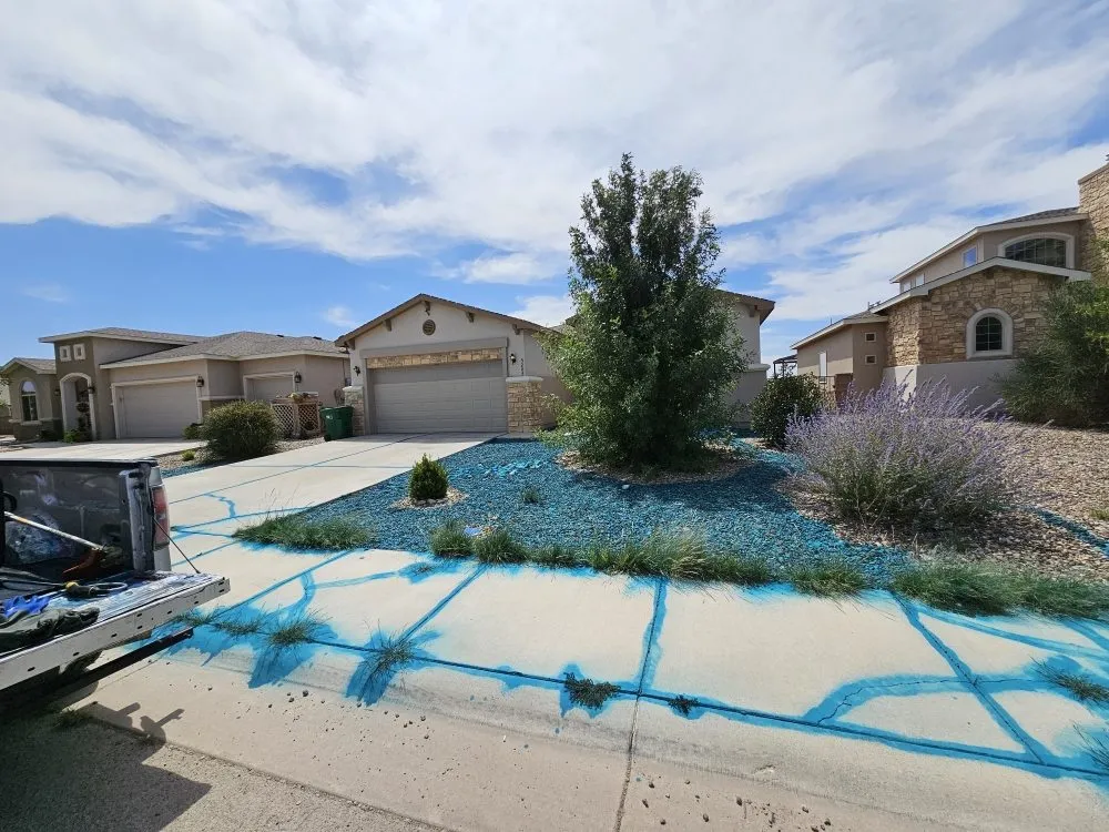 Expert yard cleanup service in Hobbs, NM - Evergreen, Weed And Pest Control