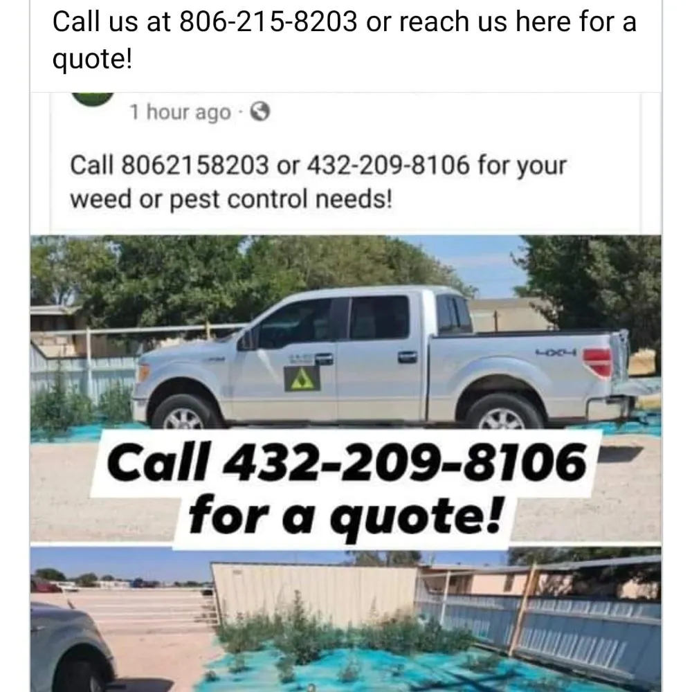 Top-rated landscape installation experts serving Hobbs, NM - Evergreen, Weed And Pest Control