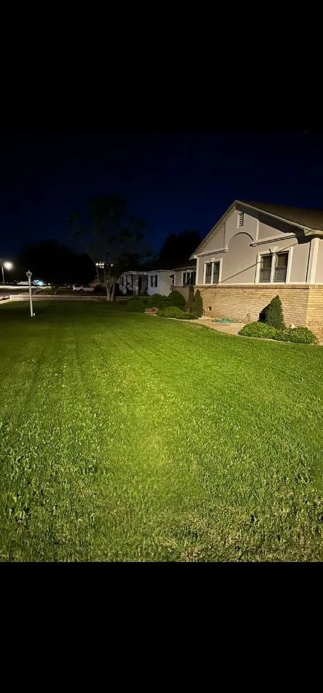 Local yard cleanup service in Hobbs, NM by Evergreen, Weed And Pest Control