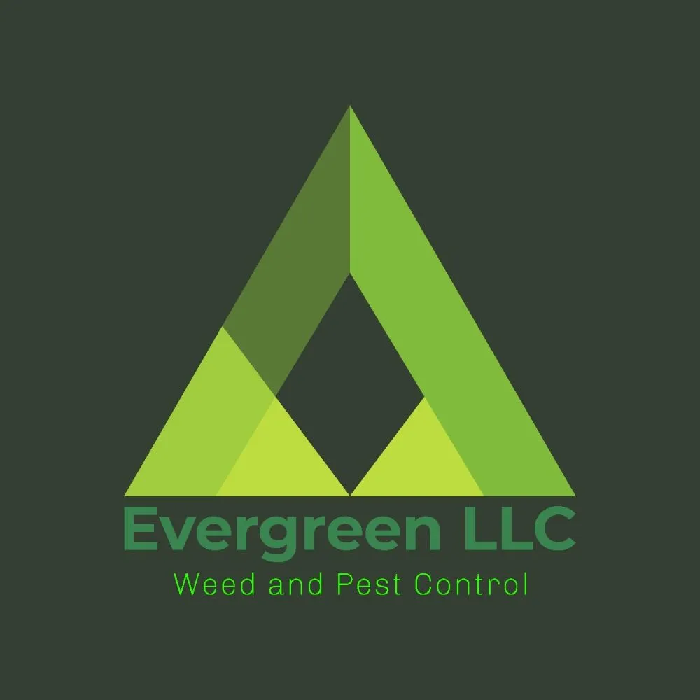 Reliable lawn care service in Hobbs, NM by Evergreen, Weed And Pest Control
