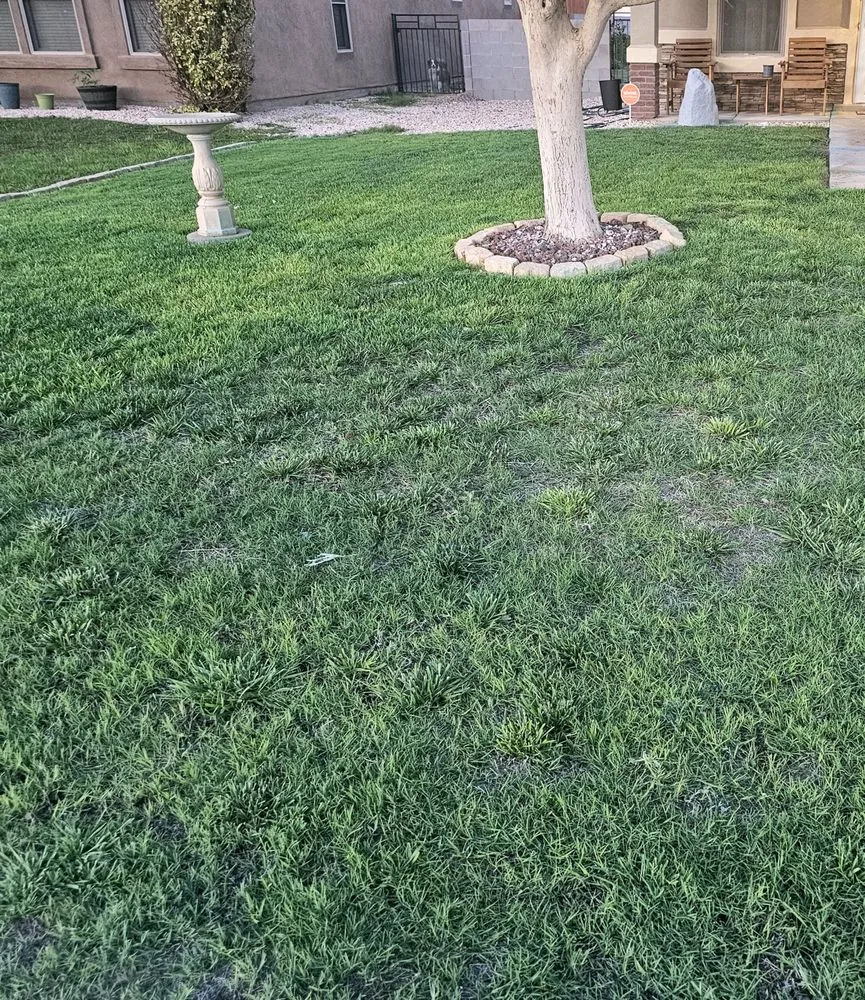 Custom garden landscaping for year-round maintenance across Hobbs, NM - Evergreen, Weed And Pest Control