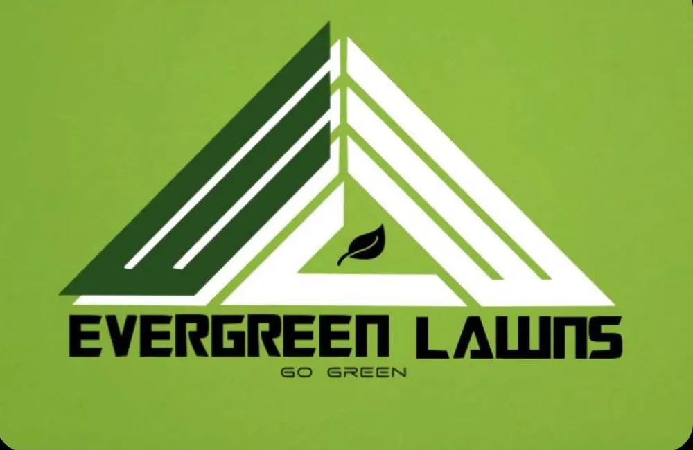 Affordable yard cleanup service near you across Hobbs, NM - Evergreen, Weed And Pest Control