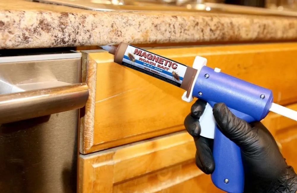 Professional outdoor landscaping for year-round maintenance across Hobbs, NM - Evergreen, Weed And Pest Control