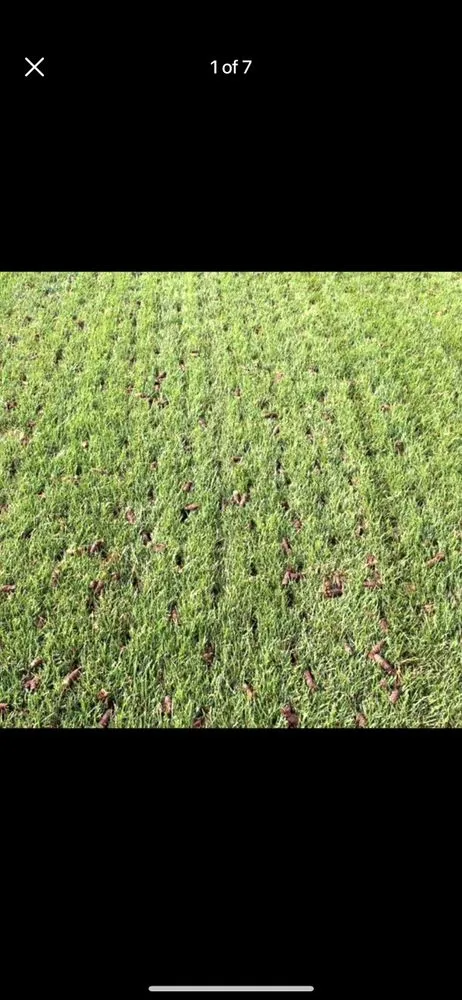 Professional outdoor landscaping experts serving South Salt Lake, UT - Evergreene Landscape