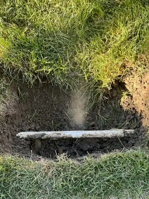 Evergreene Landscape