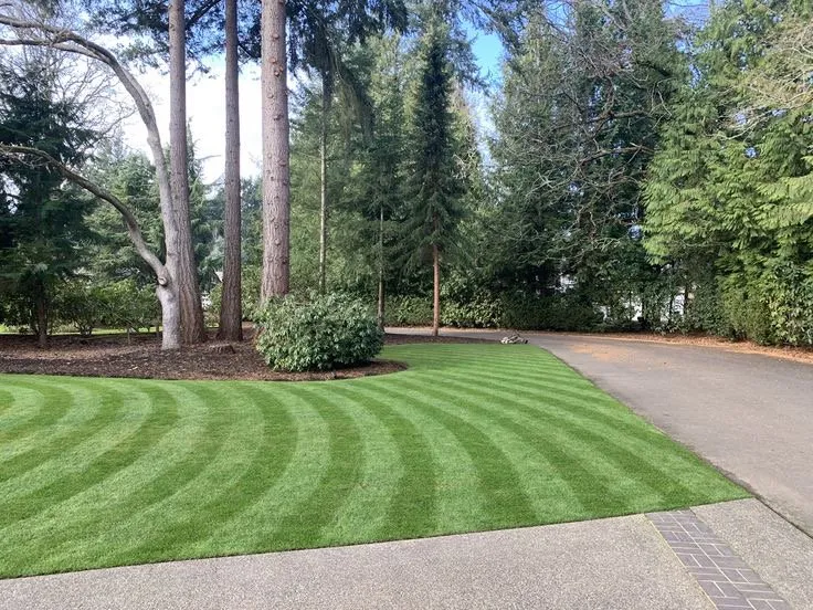Expert yard maintenance experts serving Lexington, NC - Evergreens Oasis Services