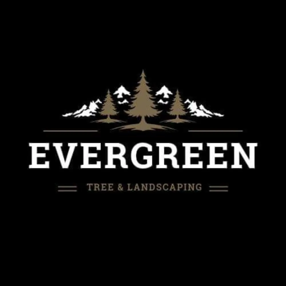 Trusted lawn care service in Saint Clair, MI by Evergreens Tree Services