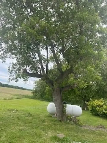 Affordable lawn mowing service in Saint Clair, MI - Evergreens Tree Services