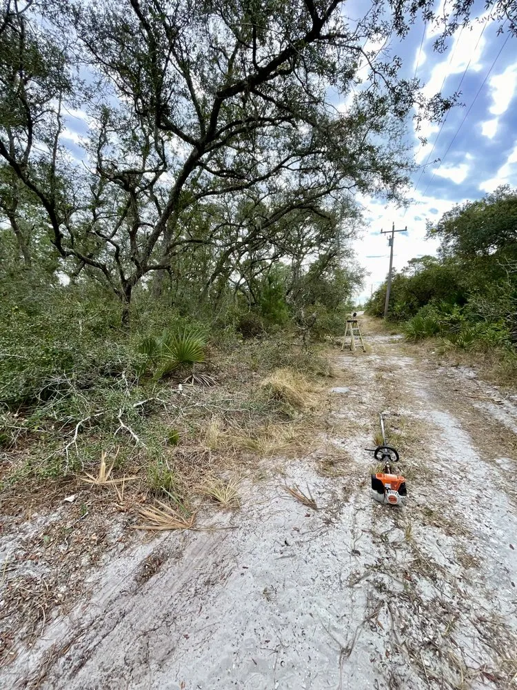 Local landscaping services in Sebring, FL by EverGrove Lawncare