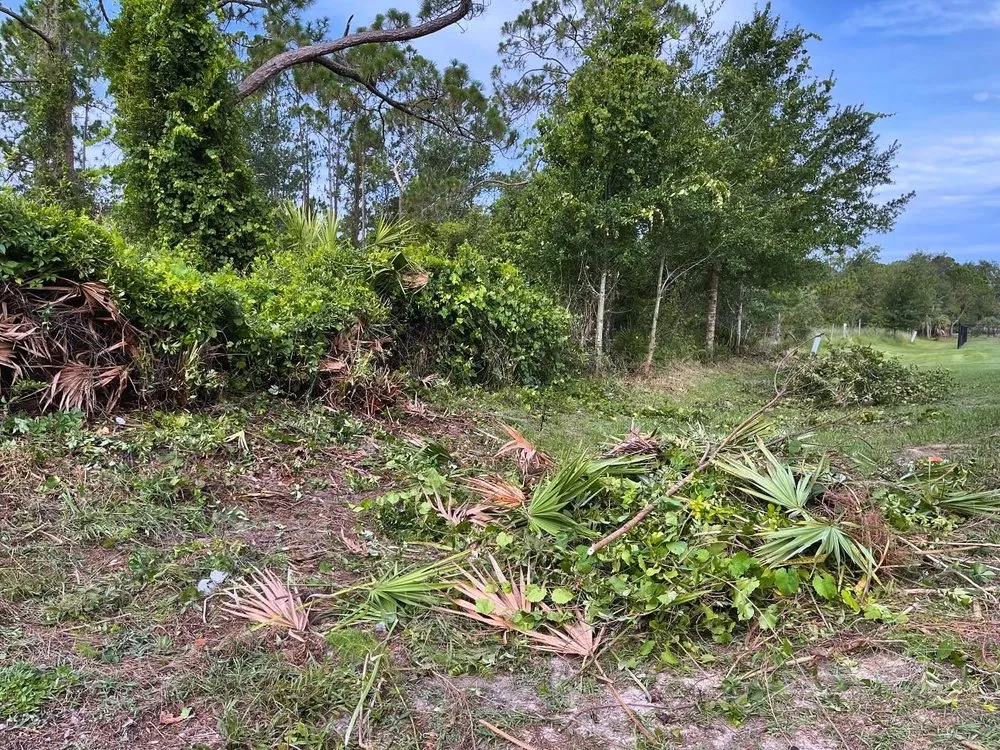 Local outdoor landscaping in Sebring, FL by EverGrove Lawncare