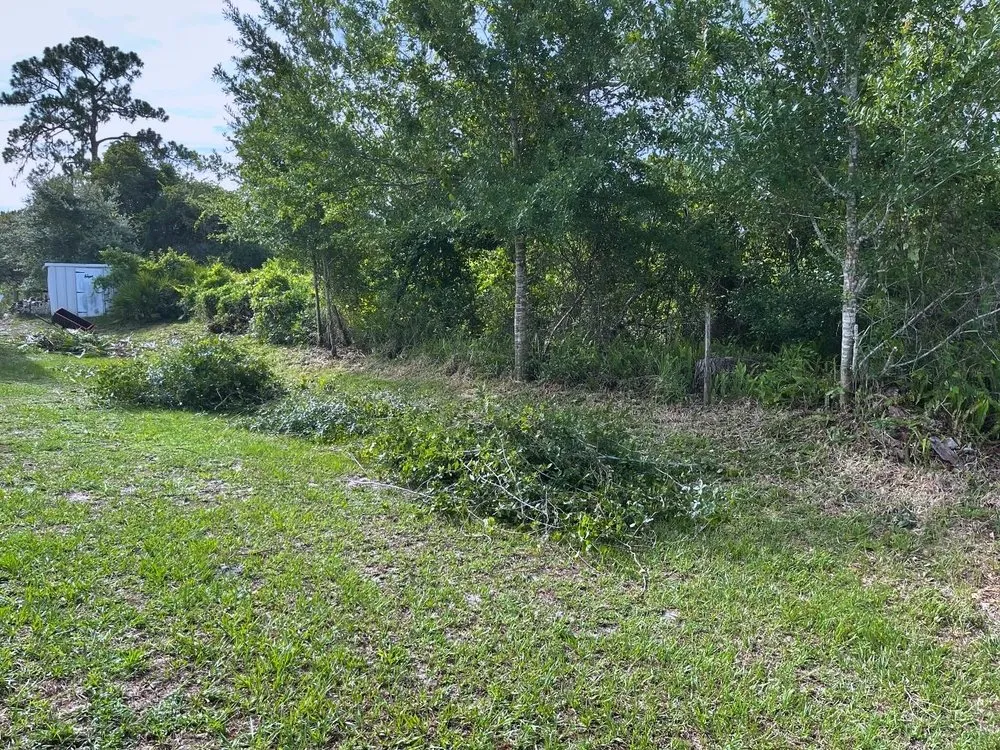 Trusted outdoor landscaping in Sebring, FL by EverGrove Lawncare