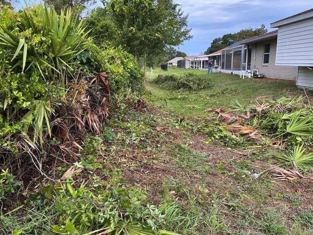 Expert garden landscaping for beautiful yards across Sebring, FL - EverGrove Lawncare