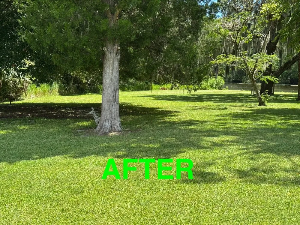 Professional outdoor landscaping in Palm Coast, FL - Evergrowing Lawn Mowing Service