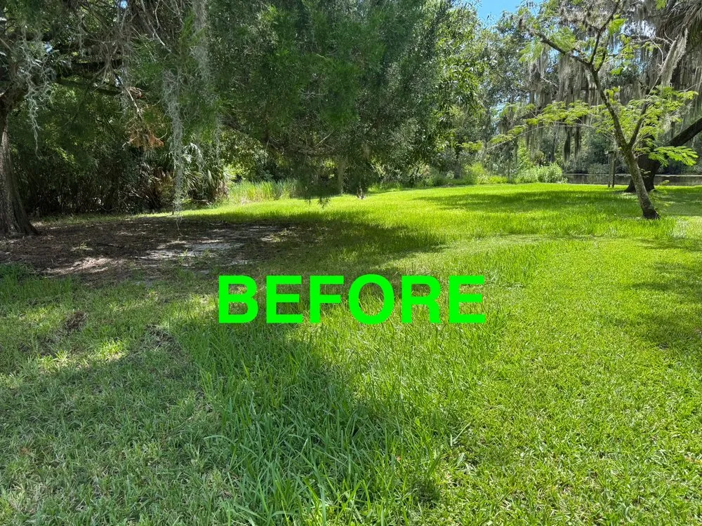Custom yard cleanup service for outdoor upgrades across Palm Coast, FL - Evergrowing Lawn Mowing Service