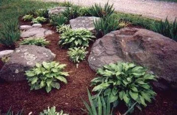 Trusted lawn mowing service in Traverse City, MI by Everhart Landscapes