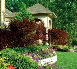 Local lawn mowing service experts serving Traverse City, MI - Everhart Landscapes