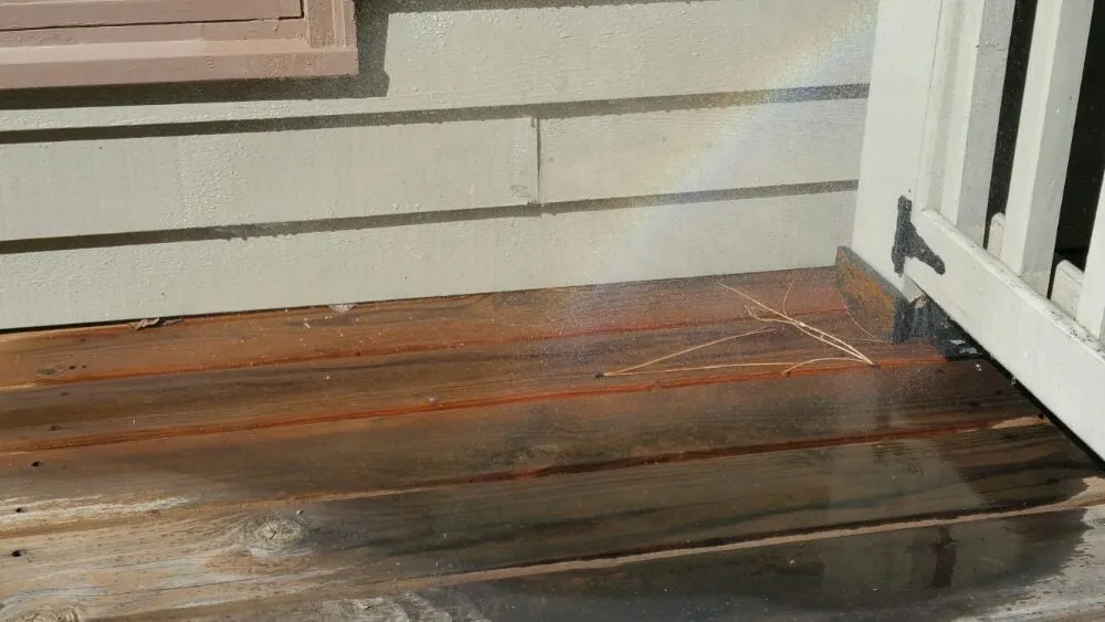 Professional yard maintenance in Bend, OR - Everist Irrigation