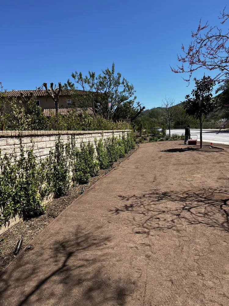Expert yard maintenance for homes in San Fernando Valley, CA by Everlast catrin Landscape & Design