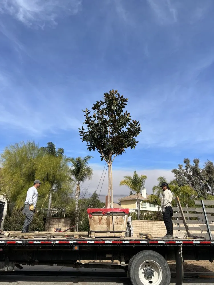 Top-rated outdoor landscaping experts serving San Fernando Valley, CA - Everlast catrin Landscape & Design