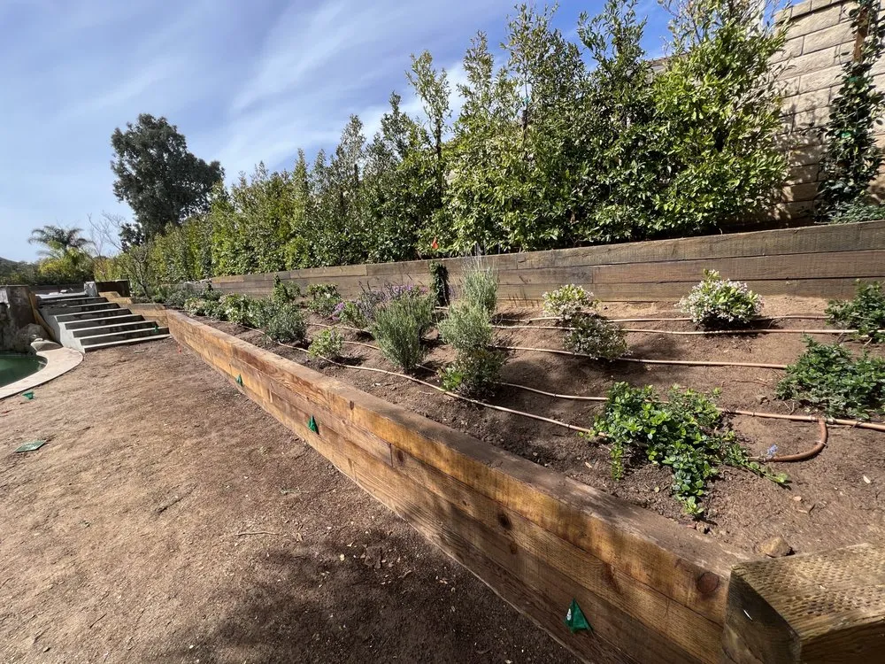 Affordable lawn care service in San Fernando Valley, CA - Everlast catrin Landscape & Design