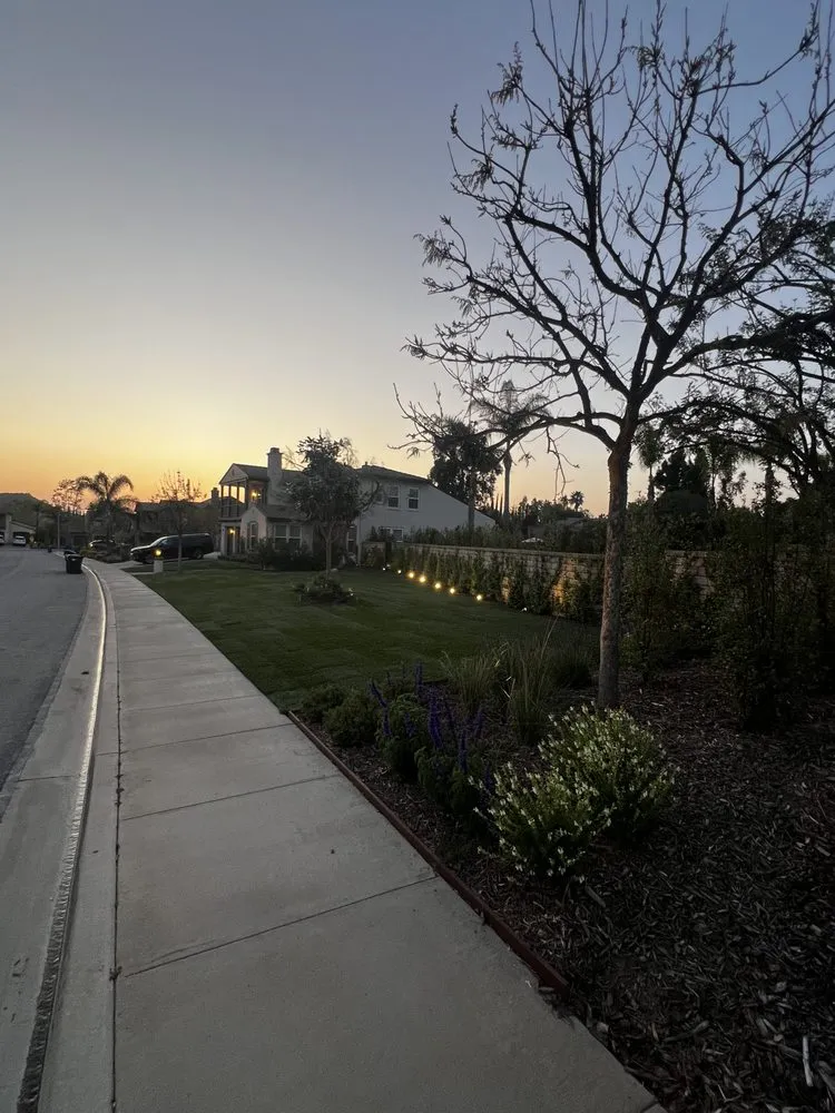 Local garden landscaping for beautiful yards in San Fernando Valley, CA by Everlast catrin Landscape & Design