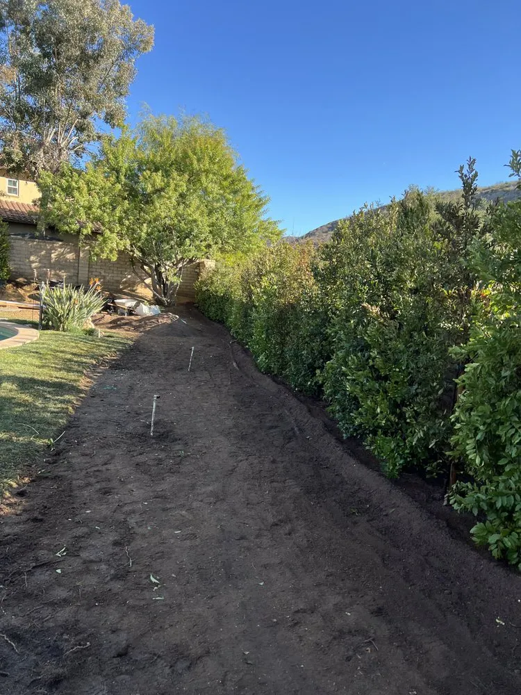 Reliable garden landscaping for year-round maintenance in San Fernando Valley, CA by Everlast catrin Landscape & Design