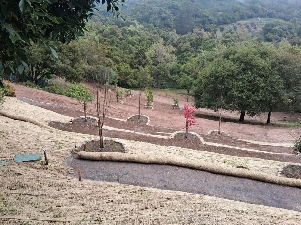 Affordable yard cleanup service with custom design across San Fernando Valley, CA - Everlast catrin Landscape & Design