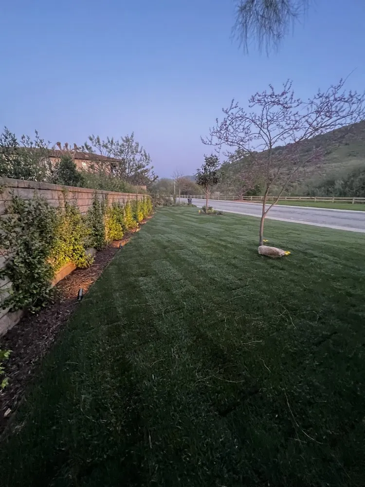 Expert yard maintenance near you across San Fernando Valley, CA - Everlast catrin Landscape & Design