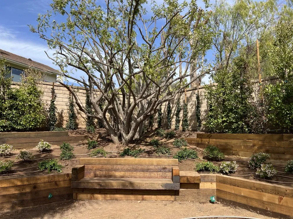 Reliable lawn care service experts serving San Fernando Valley, CA - Everlast catrin Landscape & Design