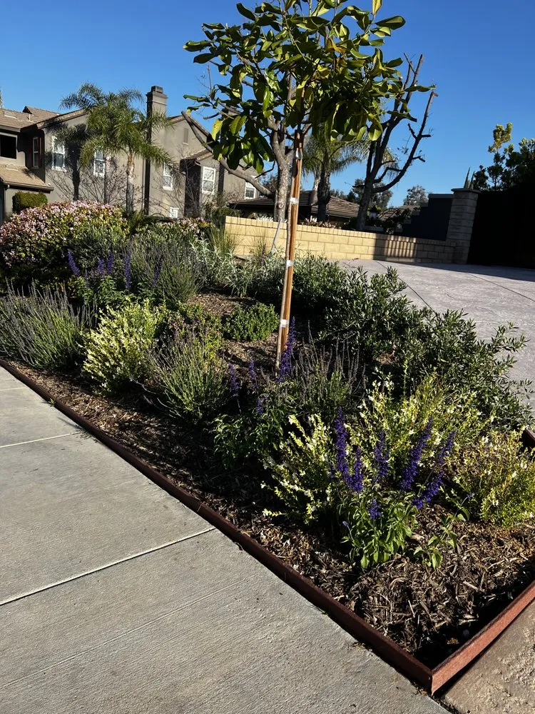 Professional residential landscaping in San Fernando Valley, CA by Everlast catrin Landscape & Design