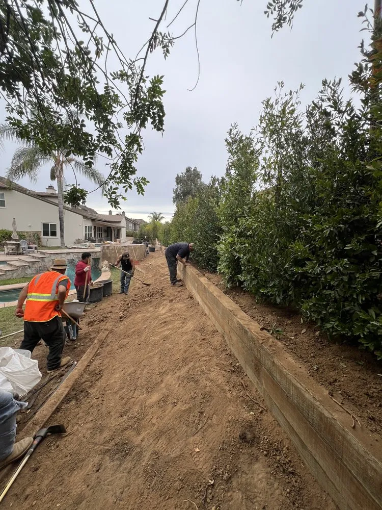 Custom yard cleanup service experts serving San Fernando Valley, CA - Everlast catrin Landscape & Design